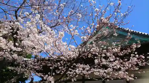 杉本寺(神奈川県)