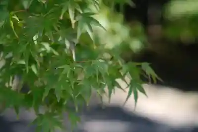 平等院(京都府)