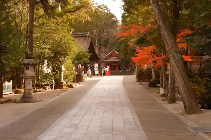 大縣神社(愛知県)