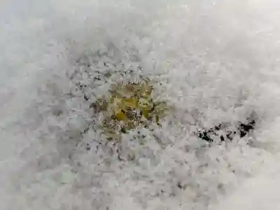 関場神社(福島県)