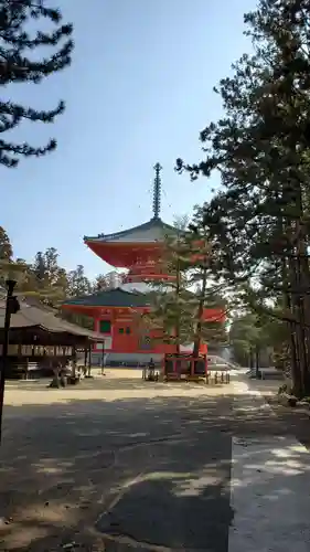 根本大塔　高野山金剛峯寺(和歌山県)