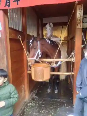 秩父神社(埼玉県)