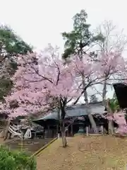 土津神社｜こどもと出世の神さまの本殿