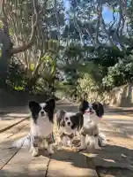 酒列磯前神社の{uncategorized: "未分類", other: "その他", undefined: "問題あり", building: "その他建物", grave: "お墓", sacred_gate: "鳥居", guardian: "狛犬", statue: "像", buddha: "仏像", history: "歴史", nature: "自然", garden: "庭園", animal: "動物", pagoda: "塔", temizu: "手水舎", mountain_gate: "山門・神門", sanctuary: "本殿・本堂", subordinate: "末社・摂社", art: "芸術", scenery: "景色", jizo: "地蔵", ema: "絵馬", goshuin: "御朱印", omikuji: "おみくじ", items: "授与品その他", amulet: "お守り", goshuincho: "御朱印帳", eats: "食事", festival: "お祭り", votive_dance: "神楽", shichigosan: "七五三参", wedding: "結婚式", experience: "体験その他", initially: "初詣", around: "周辺", anti_infection: "感染症対策"}