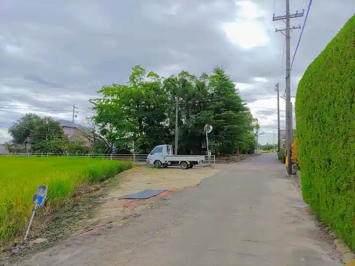 神明社(下屋)の自然