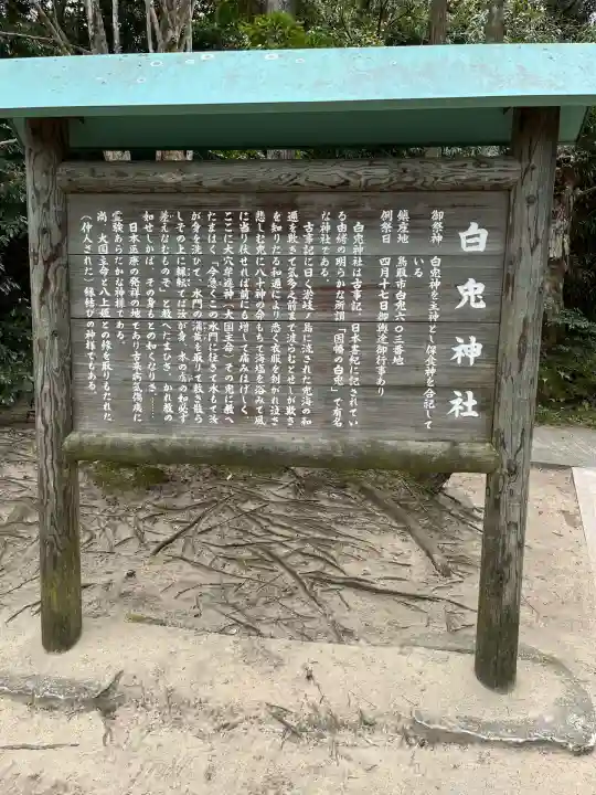白兎神社(鳥取県)