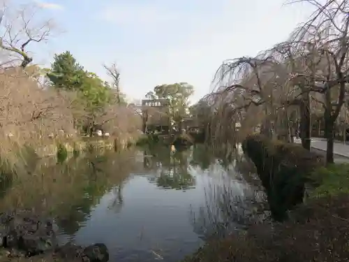 三嶋大社の庭園