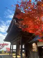 行基寺(岐阜県)