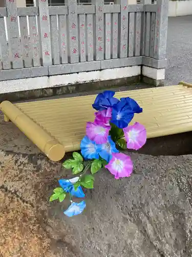 白金氷川神社の手水舎
