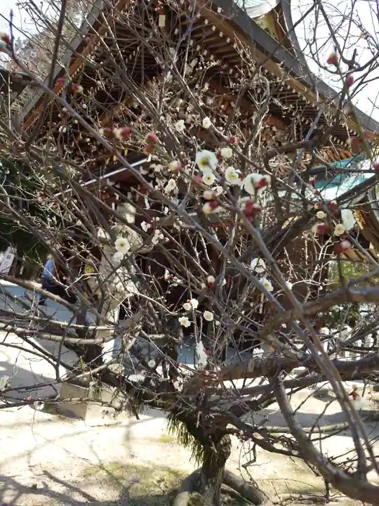 速谷神社(広島県)