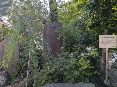 馬橋稲荷神社(東京都)