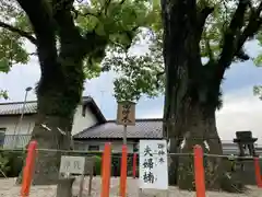 美奈宜神社(福岡県)