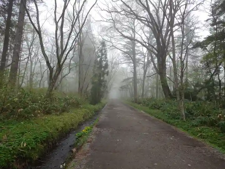 戸隠神社奥社(長野県)