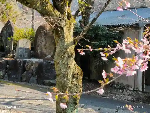 天鷹神社(岐阜県)