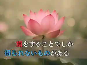 木舟山 順教寺(広島県)(2025年07月23日(水) 10時05分00秒投稿)