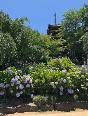 本土寺(千葉県)