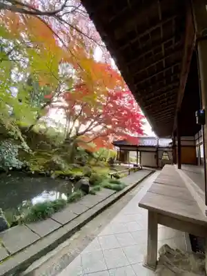 榮攝院（栄摂院）の庭園