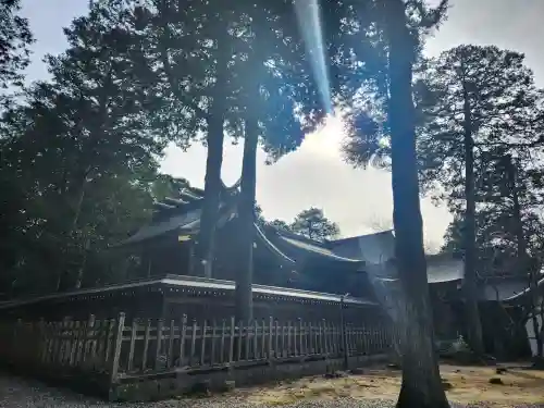 大麻比古神社の本殿