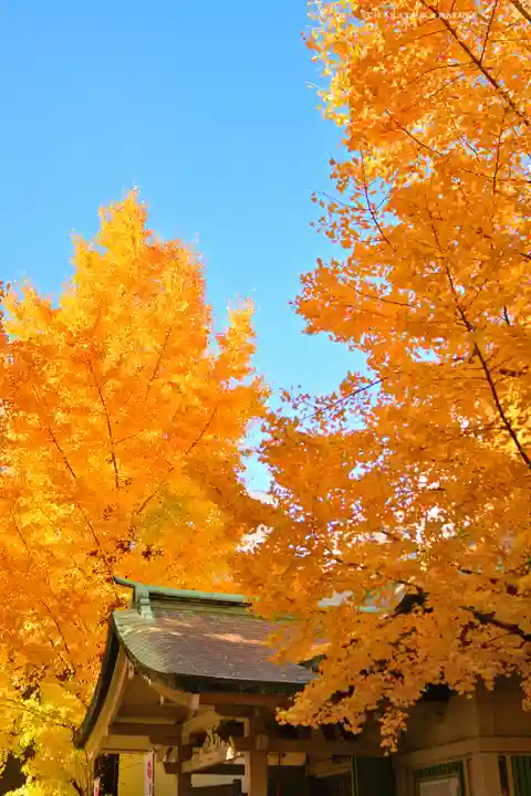 銀杏岡八幡神社(東京都)