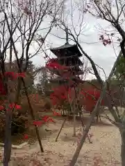 仁和寺の建物その他