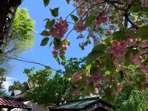 駒形神社の自然