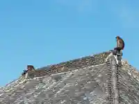 高龍寺のその他建物