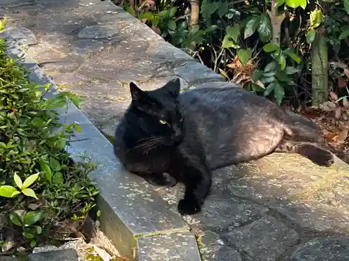 王子神社(徳島県)