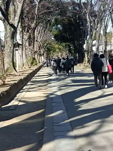 武蔵一宮氷川神社の御朱印
