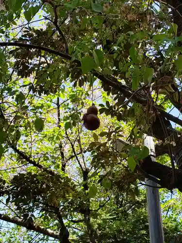 秋葉神社(東京都)