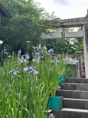 宮地嶽神社(福岡県)