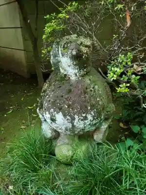 高円寺(東京都)