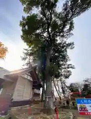 飯福神社(群馬県)