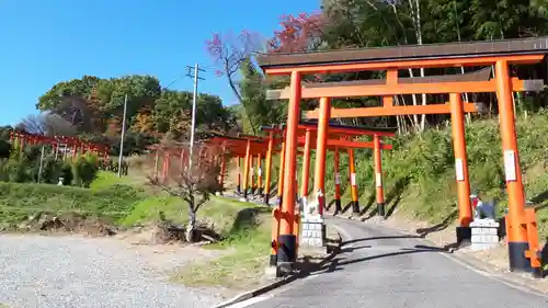 高屋敷稲荷神社の鳥居