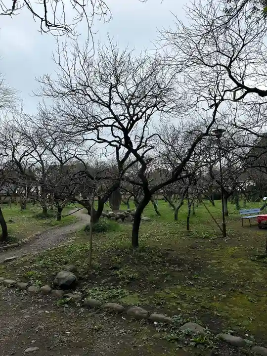 谷保天満宮(東京都)