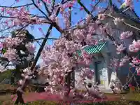 寿量山 速成寺の自然