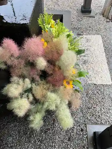 上尾御嶽神社の手水