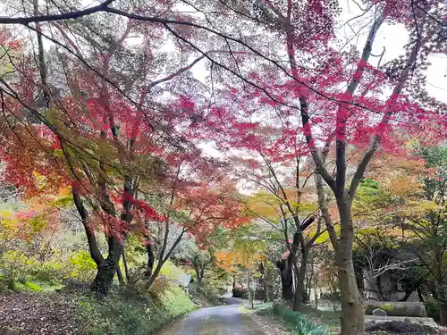 長学寺(群馬県)
