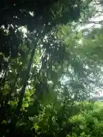 白髭社(愛知県)