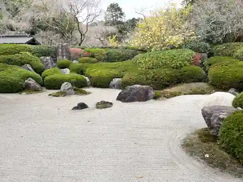 明月院の庭園