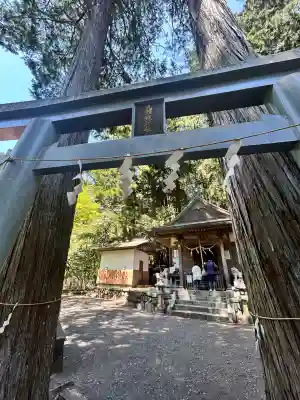 九頭龍神社(東京都)