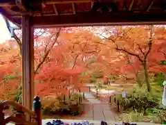 宝筐院(京都府)