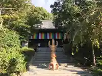 石手寺の本殿・本堂