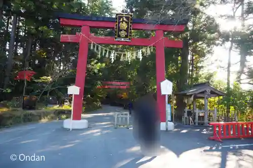 大崎八幡宮の鳥居