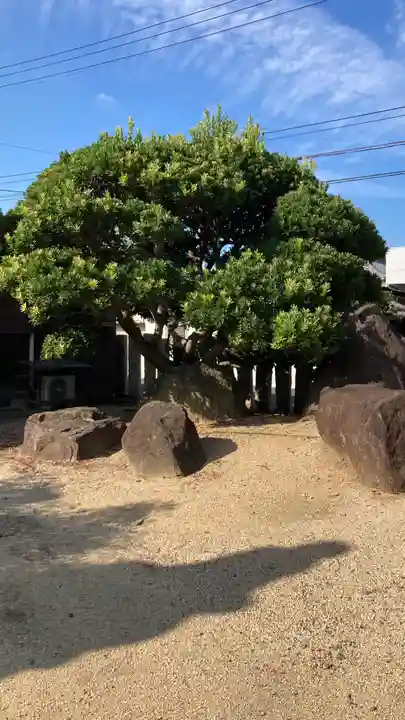 道隆寺(香川県)