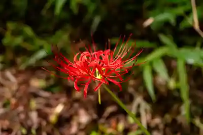 天安河原宮(宮崎県)