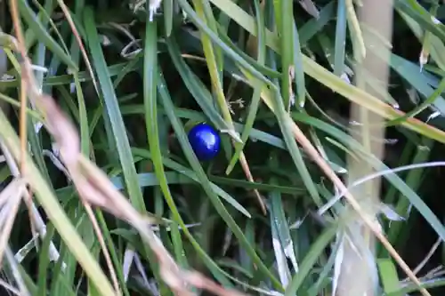 大六天麻王神社(福島県)