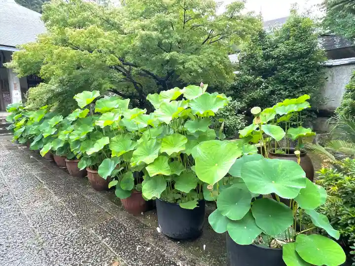 伊勢の国 四天王寺(三重県)