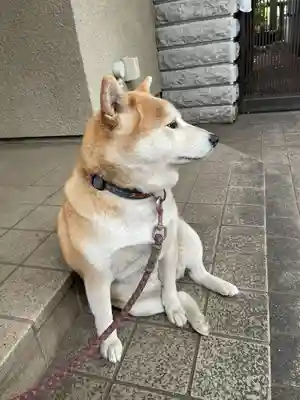 笠䅣稲荷神社(神奈川県)