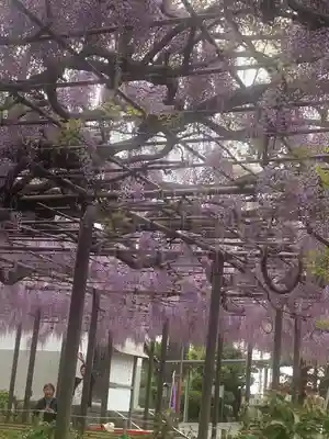 竹鼻別院(岐阜県)