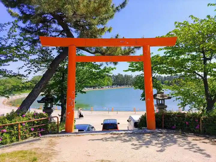 津島神社の鳥居
